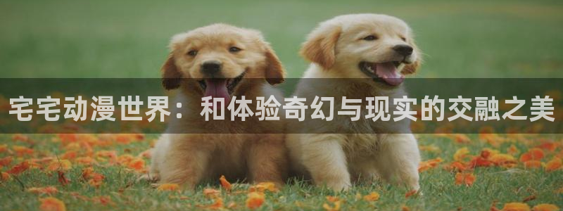 动漫岛动漫网官方入口：宅宅动漫世界：和体验奇幻与现实的交融之美