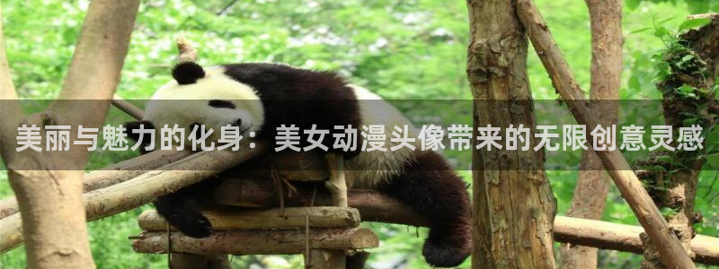 动漫岛盾之勇者成名录：美丽与魅力的化身：美女动漫头像带来的无限创意灵感