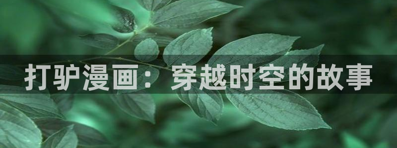 动漫大全动漫岛：打驴漫画：穿越时空的故事