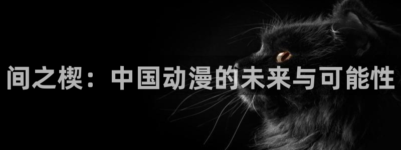 星刻的龙骑士动漫岛：间之楔：中国动漫的未来与可能性