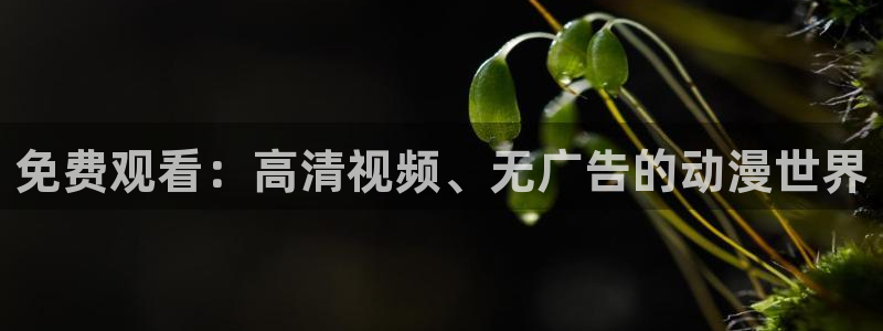 动漫岛怎么没了：免费观看：高清视频、无广告的动漫世界