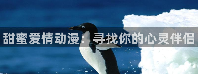 动漫岛x：甜蜜爱情动漫：寻找你的心灵伴侣