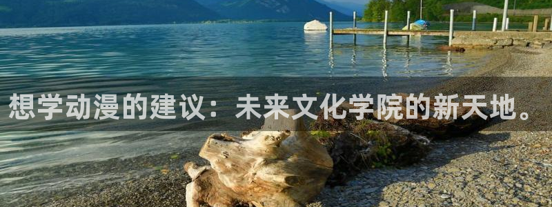 动漫岛动漫：想学动漫的建议：未来文化学院的新天地。