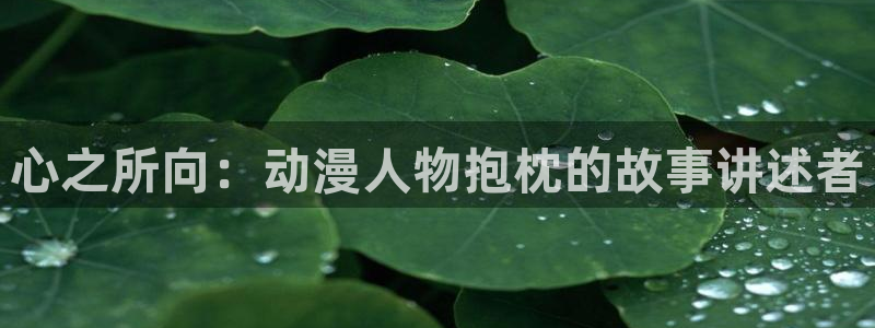 第一动漫岛：心之所向：动漫人物抱枕的故事讲述者