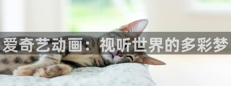 风车动漫岛：爱奇艺动画：视听世界的多彩梦